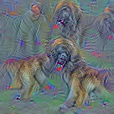 n02110958 pug, pug-dog
